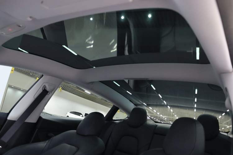 Used Tesla Model 3 2022 Rear-Wheel-Drive Version Roof