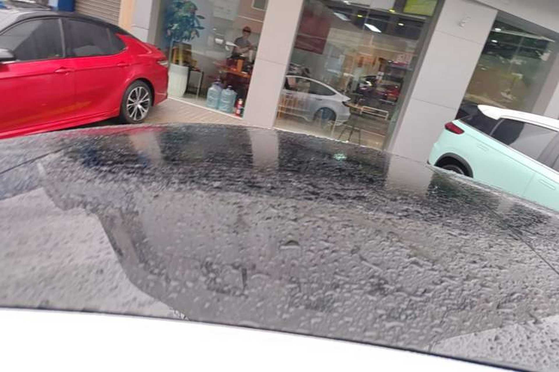 Used Tesla Model 3 2022 Performance High-Performance All-Wheel-Drive Version Roof