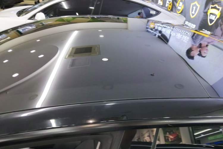 Used Tesla Model 3 2022 Performance High-Performance All-Wheel-Drive Version Roof