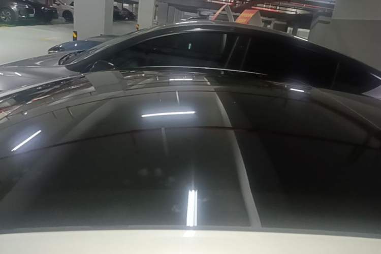 Used Tesla Model 3 2022 Rear-Wheel-Drive Version Roof