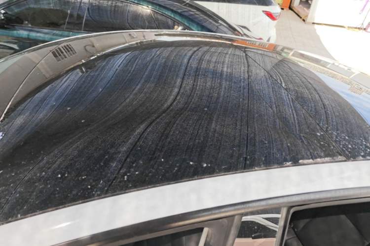 Used Tesla Model 3 2022 Rear-Wheel-Drive Version Roof