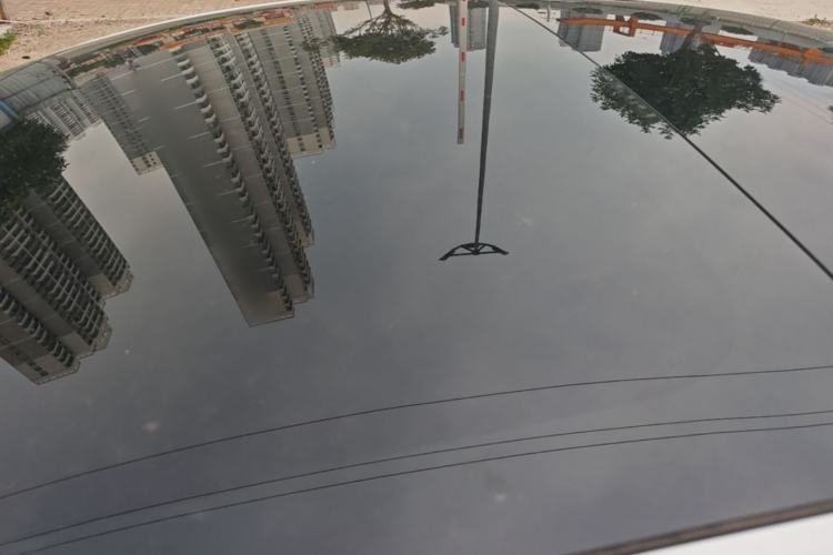 Used Tesla Model 3 2022 Rear-Wheel-Drive Version Roof