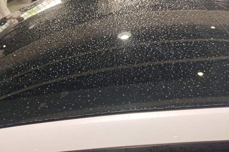 Used Tesla Model 3 2022 Rear-Wheel-Drive Version Roof