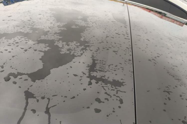 Used Tesla Model 3 2022 Rear-Wheel-Drive Version Roof