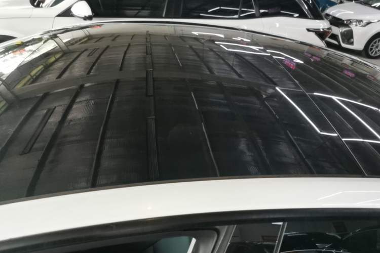 Used Tesla Model 3 2022 Rear-Wheel-Drive Version Roof
