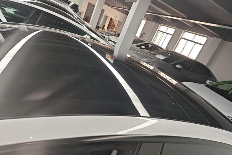 Used Tesla Model 3 2022 Rear-Wheel-Drive Version Roof