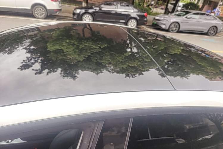 Used Tesla Model 3 2022 Rear-Wheel-Drive Version Roof