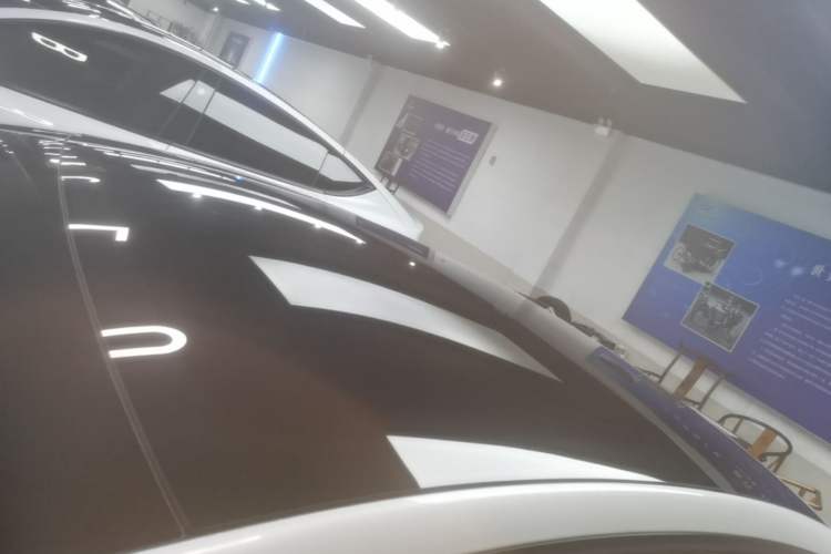 Used Tesla Model 3 2022 Rear-Wheel-Drive Version Roof