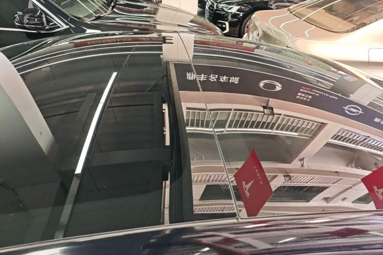 Used Tesla Model 3 2022 Rear-Wheel-Drive Version Roof