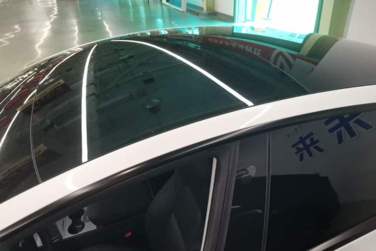 Used Tesla Model 3 2022 Rear-Wheel-Drive Version Roof