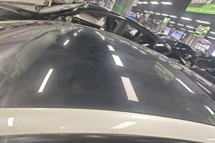 Used Tesla Model 3 2022 Rear-Wheel-Drive Version Roof