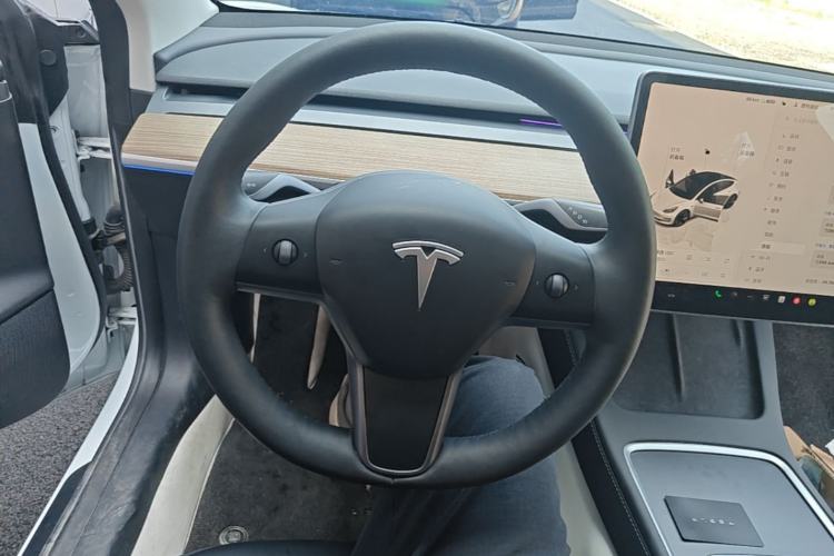 Used Tesla Model 3 2022 Rear-Wheel-Drive Version Steering Wheel