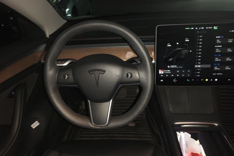 Used Tesla Model 3 2022 Rear-Wheel-Drive Version Steering Wheel