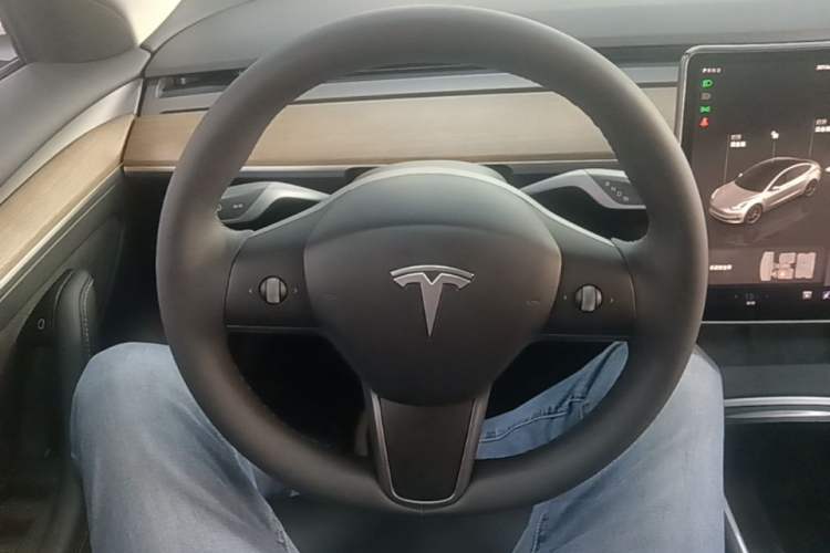 Used Tesla Model 3 2022 Performance High-Performance All-Wheel-Drive Version Steering Wheel