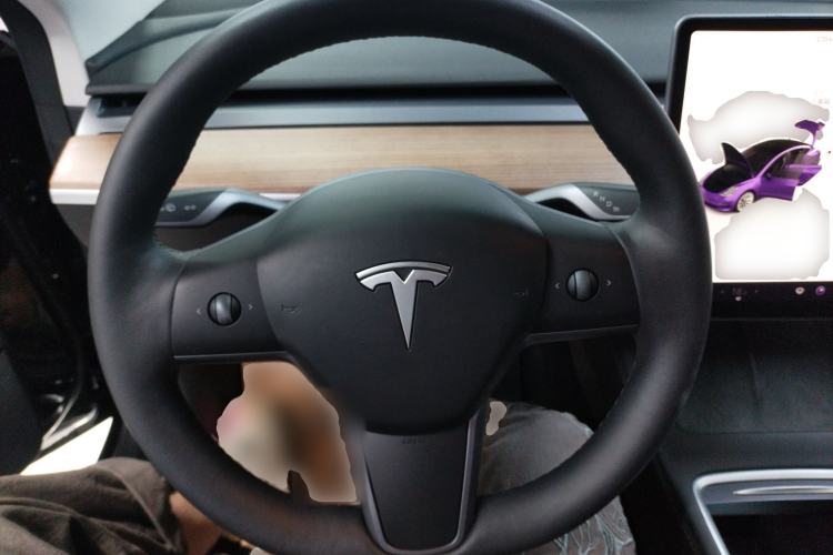 Used Tesla Model 3 2022 Rear-Wheel-Drive Version Steering Wheel