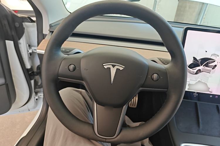 Used Tesla Model 3 2022 Performance High-Performance All-Wheel-Drive Version Steering Wheel