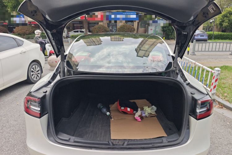 Used Tesla Model 3 2022 Rear-Wheel-Drive Version
