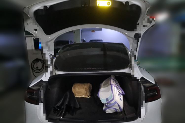 Used Tesla Model 3 2022 Rear-Wheel-Drive Version Trunk