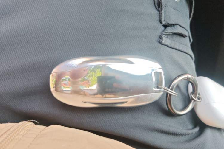Used Tesla Model 3 2022 Rear-Wheel-Drive Version Vehicle Key