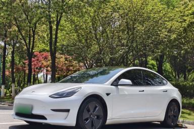 Used Tesla Model 3 2022 Rear-Wheel-Drive Version