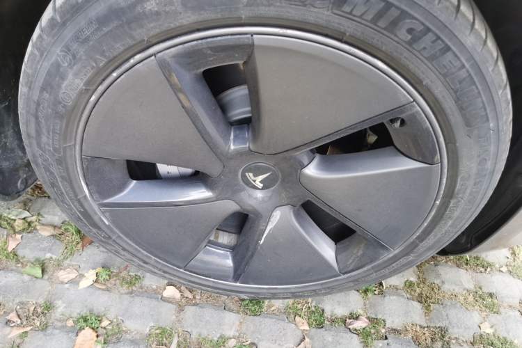 Used Tesla Model 3 2022 Rear-Wheel-Drive Version Exterior 1
