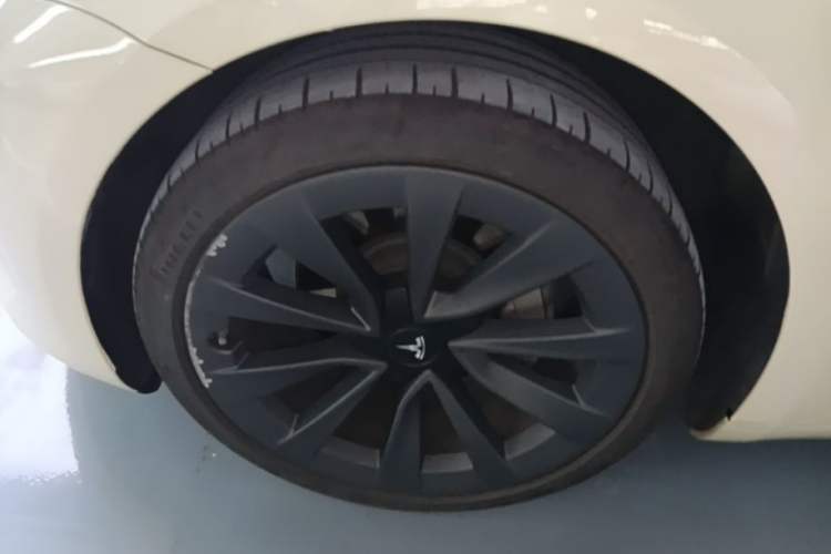 Used Tesla Model 3 2022 Rear-Wheel-Drive Version Exterior 4