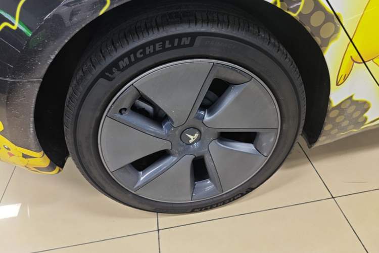 Used Tesla Model 3 2022 Rear-Wheel-Drive Version Exterior 5