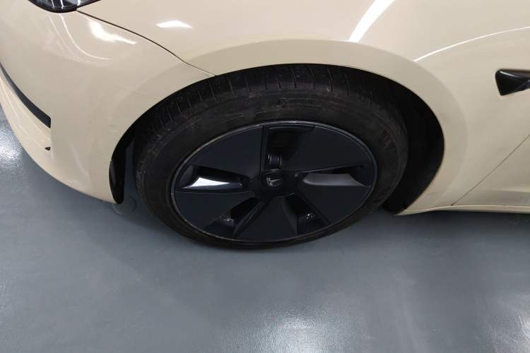 Used Tesla Model 3 2022 Rear-Wheel-Drive Version Exterior 7