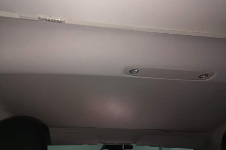 Used Tesla Model 3 2022 Rear-Wheel-Drive Version Headliner