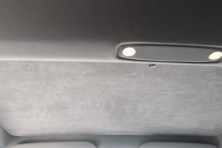 Used Tesla Model 3 2022 Rear-Wheel-Drive Version Headliner