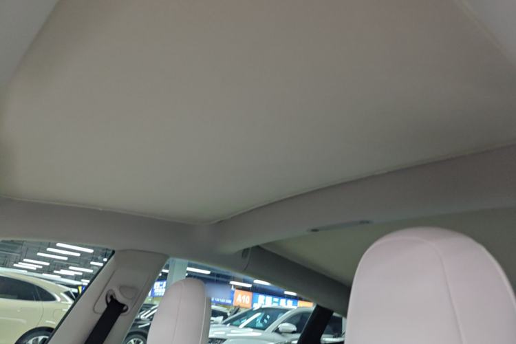 Used Tesla Model 3 2022 Rear-Wheel-Drive Version Headliner