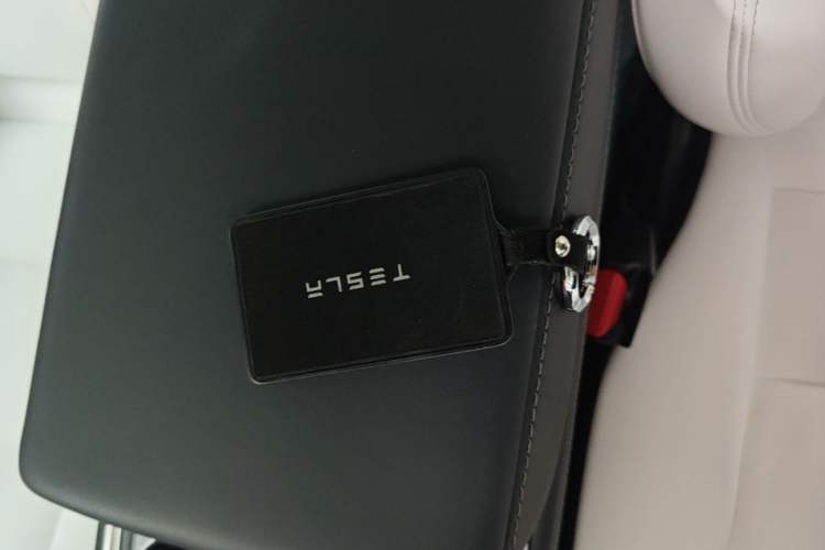 Used Tesla Model 3 2022 Rear-Wheel-Drive Version Interior 1
