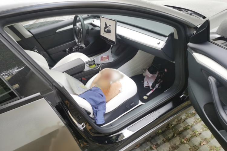 Used Tesla Model 3 2022 Rear-Wheel-Drive Version Interior 3