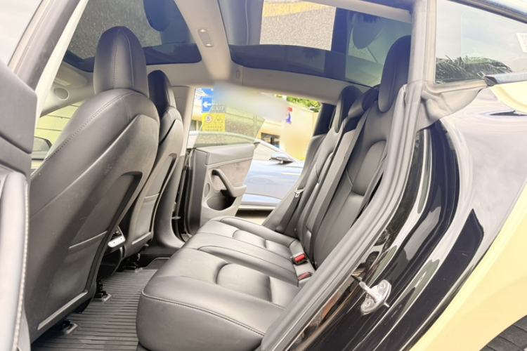 Used Tesla Model 3 2022 Rear-Wheel-Drive Version Interior 8