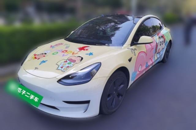 Used Tesla Model 3 2022 Rear-Wheel-Drive Version