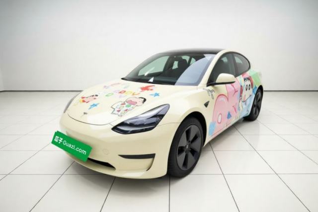Used Tesla Model 3 2022 Rear-Wheel-Drive Version