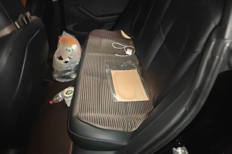 Used Tesla Model 3 2022 Rear-Wheel-Drive Version Left Rear Seat