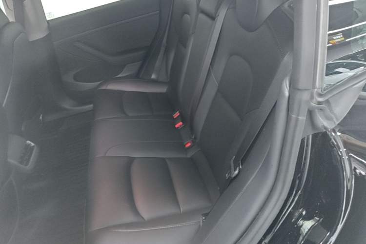 Used Tesla Model 3 2022 Rear-Wheel-Drive Version Left Rear Seat