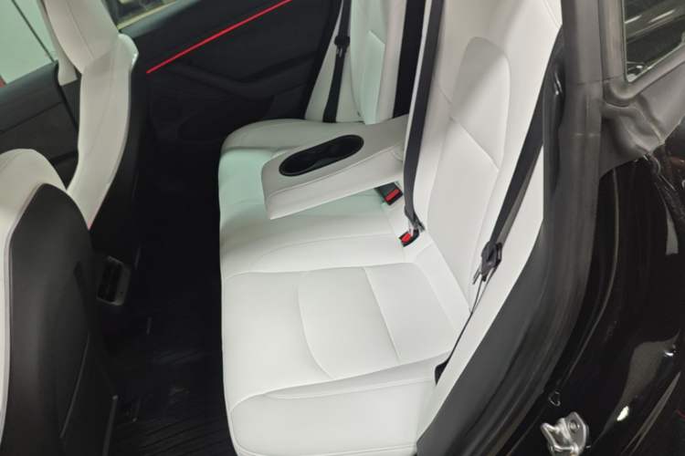 Used Tesla Model 3 2022 Rear-Wheel-Drive Version Left Rear Seat