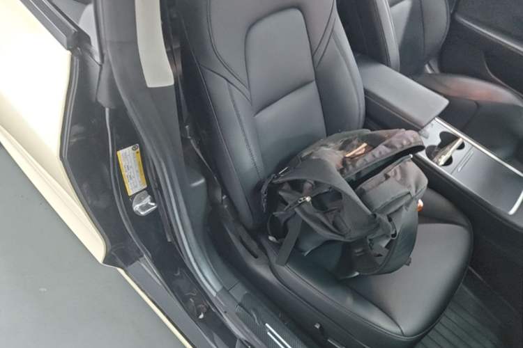 Used Tesla Model 3 2022 Rear-Wheel-Drive Version Right Front Seat