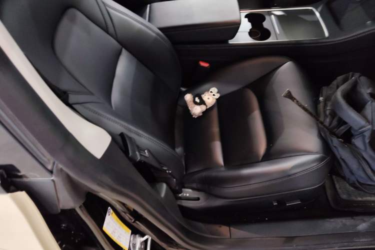 Used Tesla Model 3 2022 Rear-Wheel-Drive Version Right Front Seat