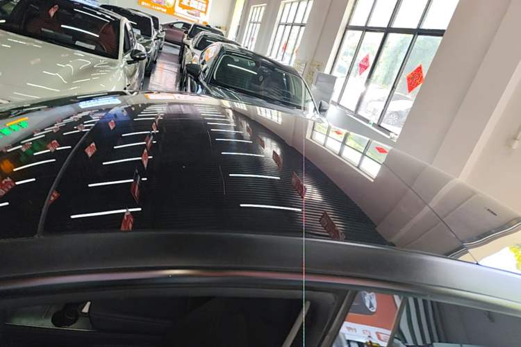 Used Tesla Model 3 2022 Rear-Wheel-Drive Version Roof