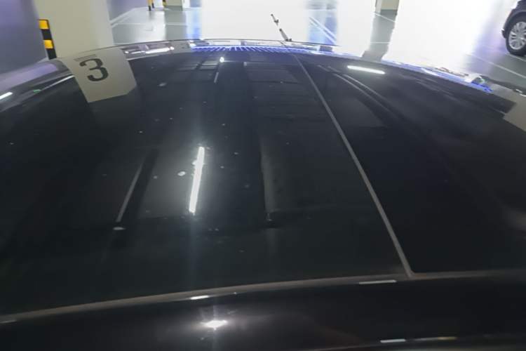 Used Tesla Model 3 2022 Rear-Wheel-Drive Version Roof