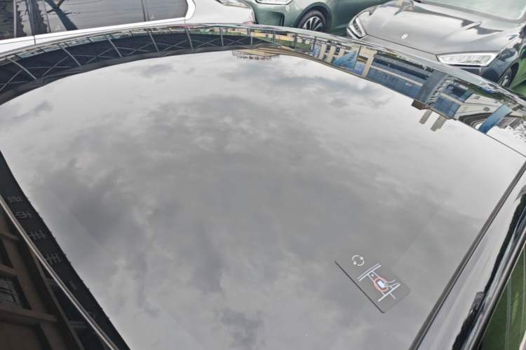 Used Tesla Model 3 2022 Rear-Wheel-Drive Version Roof