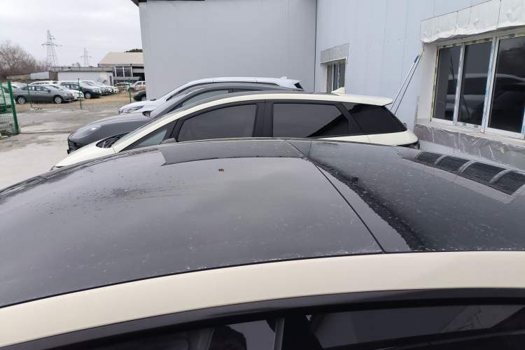 Used Tesla Model 3 2022 Rear-Wheel-Drive Version Roof