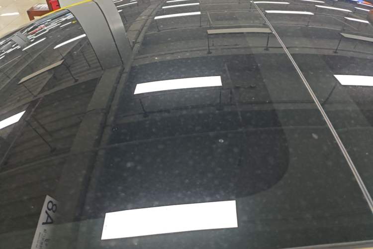 Used Tesla Model 3 2022 Rear-Wheel-Drive Version Roof