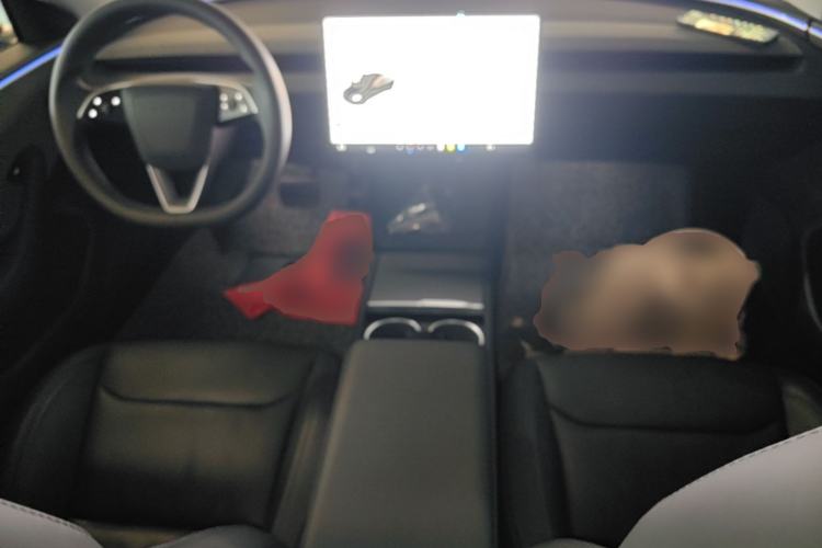 Used Tesla Model 3 2023 Rear-Wheel-Drive Version Center Console