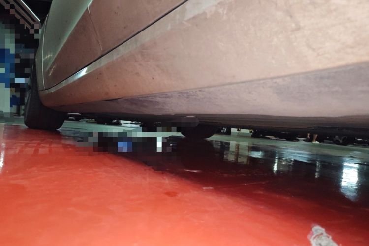 Used Tesla Model 3 2023 Rear-Wheel-Drive Version Chassis Rear Left