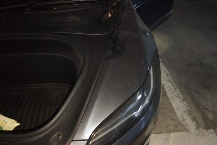 Used Tesla Model 3 2023 Long-Range All-Wheel-Drive Version Engine Bay Left