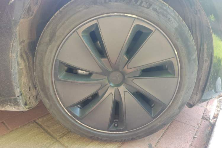 Used Tesla Model 3 2023 Rear-Wheel-Drive Version Exterior 1